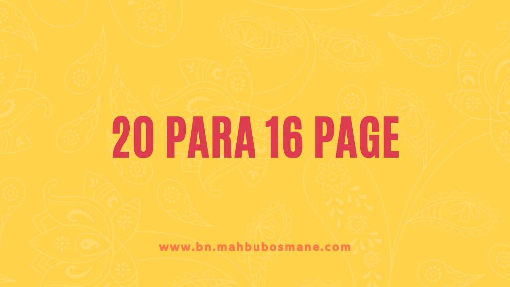 20 Para 16 Page