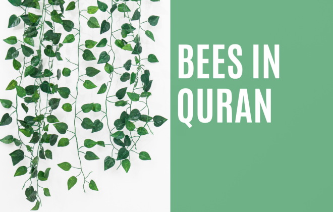 Bees in Quran