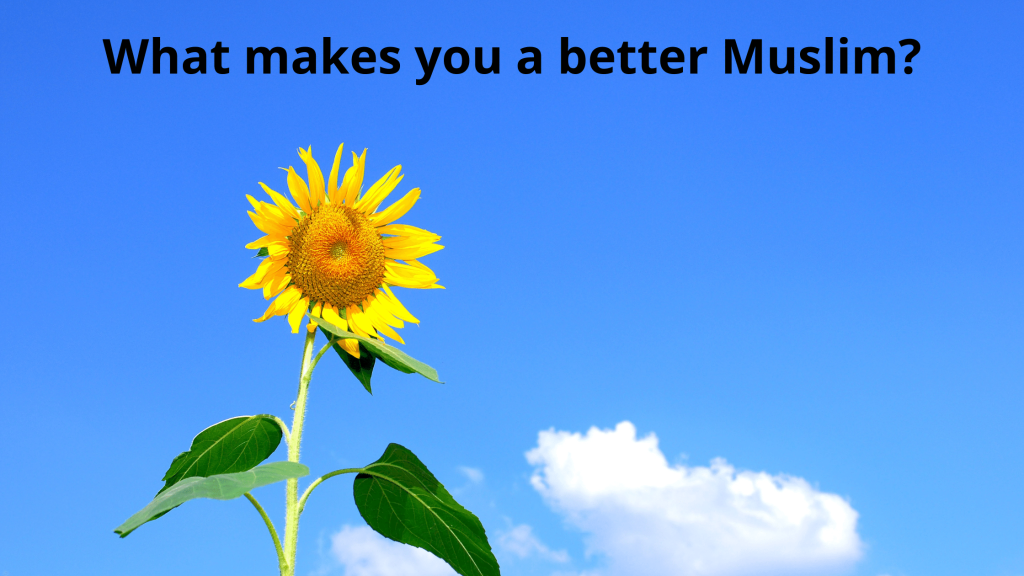 What makes you a better Muslim?